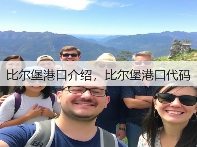 比尔堡港口介绍，比尔堡港口代码(图3)