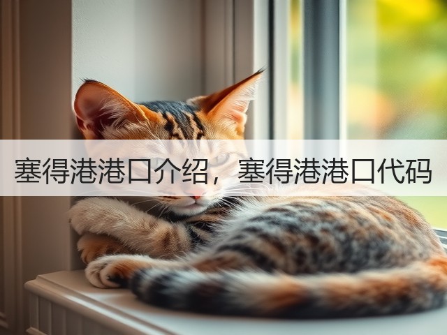 塞得港港口介绍,塞得港港口代码(图3) 塞得港港口介绍,塞得港港口代码(图3)