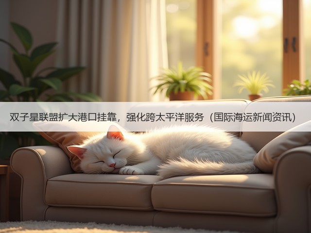 双子星联盟扩大港口挂靠，强化跨太平洋服务（国际海运新闻资讯）(图3)