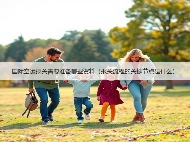 国际空运报关需要准备哪些资料(报关流程的关键节点是什么)(图2) 国际空运报关需要准备哪些资料(报关流程的关键节点是什么)(图2)