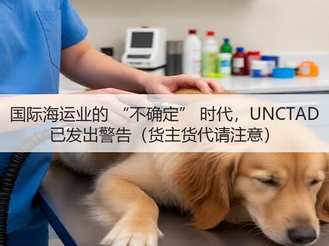 国际海运业的 “不确定” 时代，UNCTAD 已发出警告（货主货代请注意）(图2)