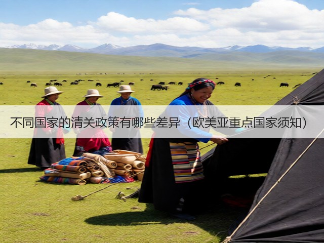 不同国家的清关政策有哪些差异(欧美亚重点国家须知)(图3) 不同国家的清关政策有哪些差异(欧美亚重点国家须知)(图3)