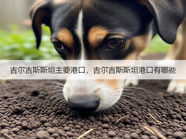 吉尔吉斯斯坦主要港口，吉尔吉斯斯坦港口有哪些(图2)