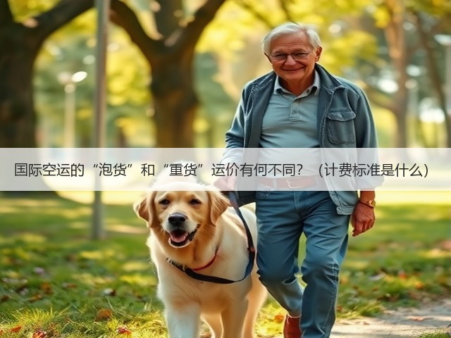 国际空运的“泡货”和“重货”运价有何不同?(计费标准是什么)(图1) 国际空运的“泡货”和“重货”运价有何不同?(计费标准是什么)(图1)