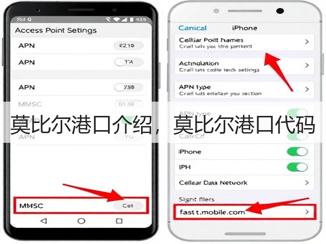 莫比尔港口介绍，莫比尔港口代码(图1)