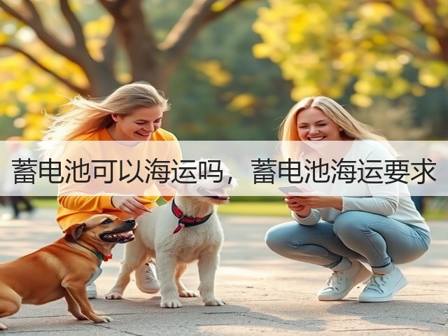 蓄电池可以海运吗，蓄电池海运要求(图2)
