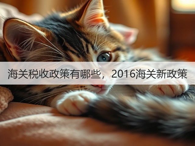 海关税收政策有哪些，2016海关新政策(图1)
