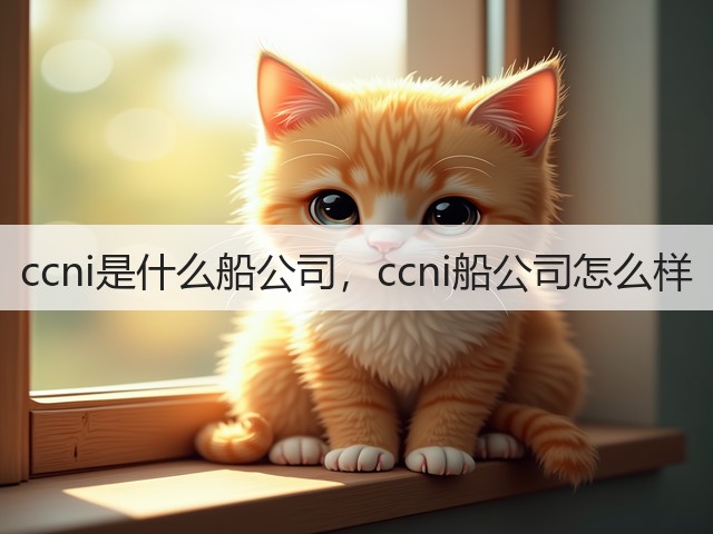 ccni是什么船公司，ccni船公司怎么样(图1)