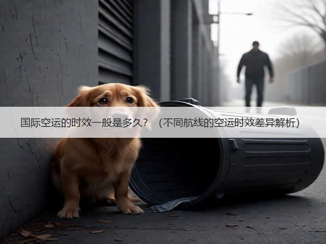国际空运的时效一般是多久?(不同航线的空运时效差异解析)(图3) 国际空运的时效一般是多久?(不同航线的空运时效差异解析)(图3)