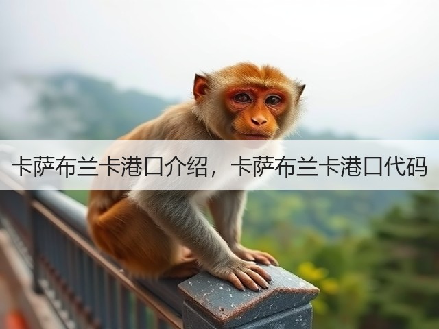 卡萨布兰卡港口介绍，卡萨布兰卡港口代码(图2)
