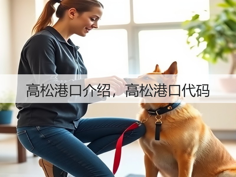 高松港口介绍，高松港口代码