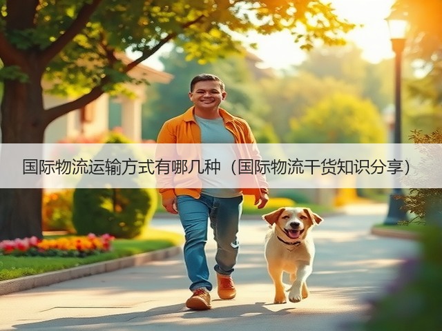 国际物流运输方式有哪几种(国际物流干货知识分享)(图3) 国际物流运输方式有哪几种(国际物流干货知识分享)(图3)
