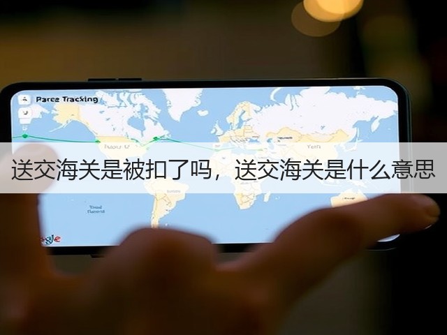 送交海关是被扣了吗，送交海关是什么意思(图1)