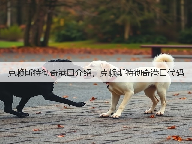 克赖斯特彻奇港口介绍，克赖斯特彻奇港口代码(图3)