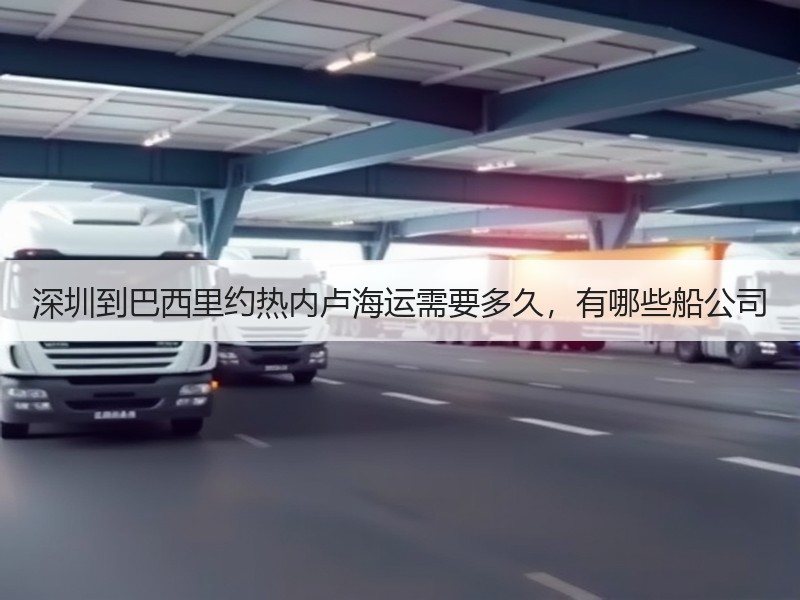 深圳到巴西里约热内卢海运需要多久,有哪些船公司 深圳到巴西里约热内卢海运需要多久,有哪些船公司