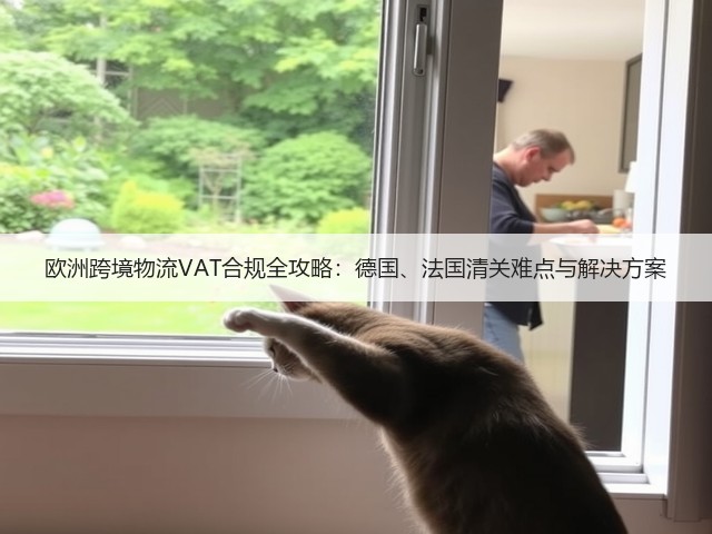 欧洲跨境物流VAT合规全攻略：德国、法国清关难点与解决方案(图3)