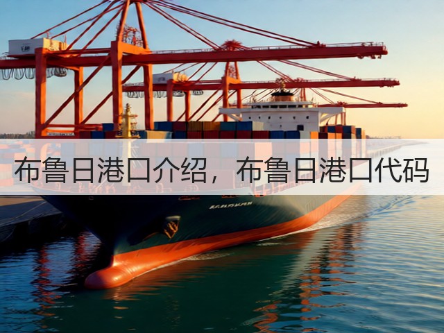 布鲁日港口介绍，布鲁日港口代码(图1)