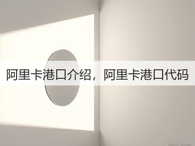 阿里卡港口介绍，阿里卡港口代码(图2)