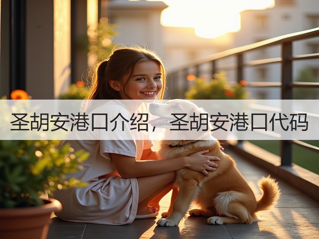 圣胡安港口介绍，圣胡安港口代码(图1)