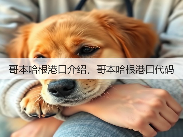 哥本哈根港口介绍，哥本哈根港口代码(图3)