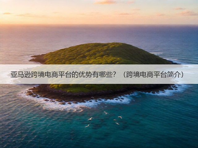 亚马逊跨境电商平台的优势有哪些?(跨境电商平台简介)(图3) 亚马逊跨境电商平台的优势有哪些?(跨境电商平台简介)(图3)