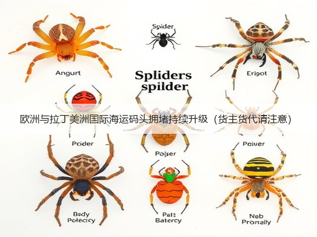 欧洲与拉丁美洲国际海运码头拥堵持续升级（货主货代请注意）(图1)