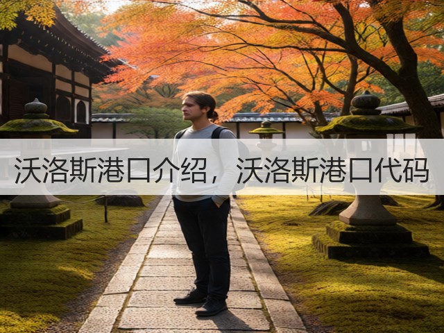 沃洛斯港口介绍,沃洛斯港口代码(图1) 沃洛斯港口介绍,沃洛斯港口代码(图1)