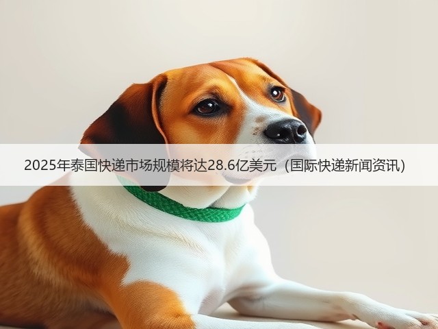 2025年泰国快递市场规模将达28.6亿美元(国际快递新闻资讯)(图3) 2025年泰国快递市场规模将达28.6亿美元(国际快递新闻资讯)(图3)
