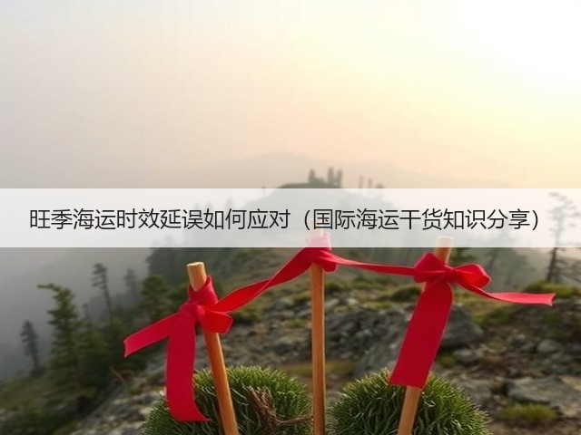 旺季海运时效延误如何应对（国际海运干货知识分享）(图1)