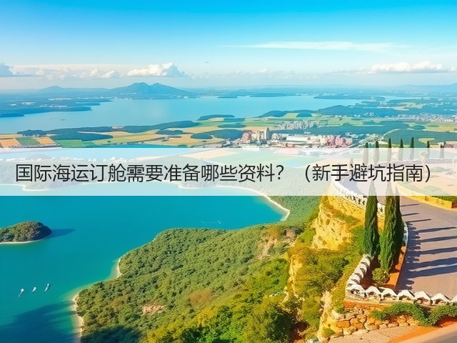 国际海运订舱需要准备哪些资料？（新手避坑指南）(图1)