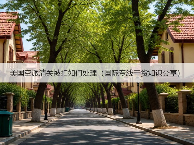 美国空派清关被扣如何处理（国际专线干货知识分享）(图3)