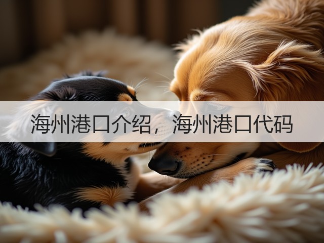 海州港口介绍,海州港口代码(图1) 海州港口介绍,海州港口代码(图1)