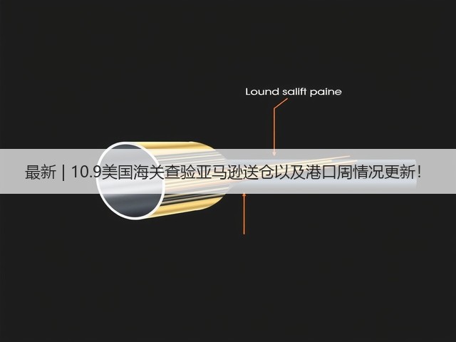 最新 | 10.9美国海关查验亚马逊送仓以及港口周情况更新！(图1)