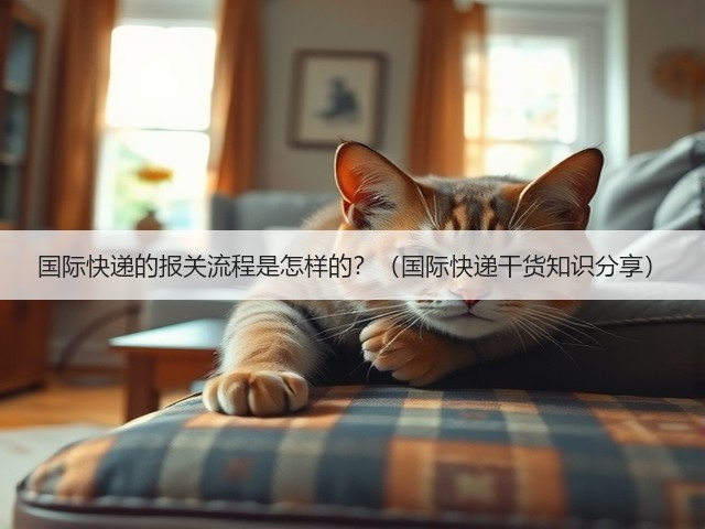 国际快递的报关流程是怎样的?(国际快递干货知识分享)(图3) 国际快递的报关流程是怎样的?(国际快递干货知识分享)(图3)