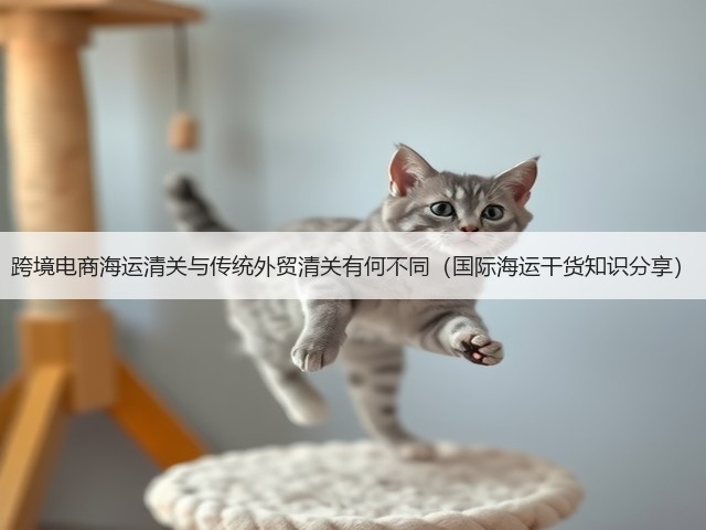 跨境电商海运清关与传统外贸清关有何不同(国际海运干货知识分享)(图1) 跨境电商海运清关与传统外贸清关有何不同(国际海运干货知识分享)(图1)