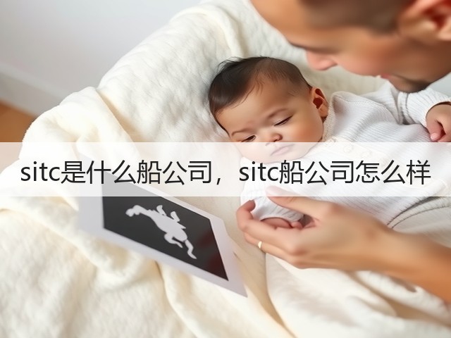 sitc是什么船公司，sitc船公司怎么样(图1)