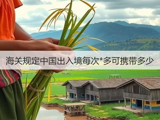 海关规定中国出入境每次*多可携带多少(图3) 海关规定中国出入境每次*多可携带多少(图3)