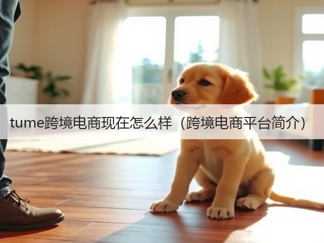 tume跨境电商现在怎么样(跨境电商平台简介)(图1) tume跨境电商现在怎么样(跨境电商平台简介)(图1)