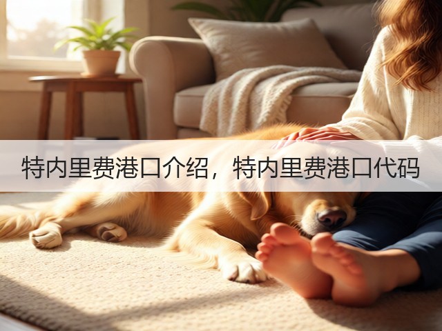 特内里费港口介绍,特内里费港口代码(图3) 特内里费港口介绍,特内里费港口代码(图3)