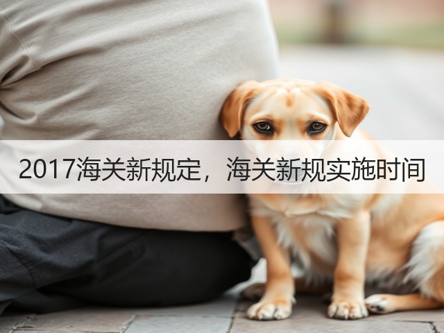 2017海关新规定，海关新规实施时间(图2)