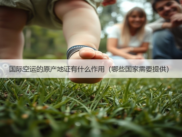 国际空运的原产地证有什么作用(哪些国家需要提供)(图1) 国际空运的原产地证有什么作用(哪些国家需要提供)(图1)