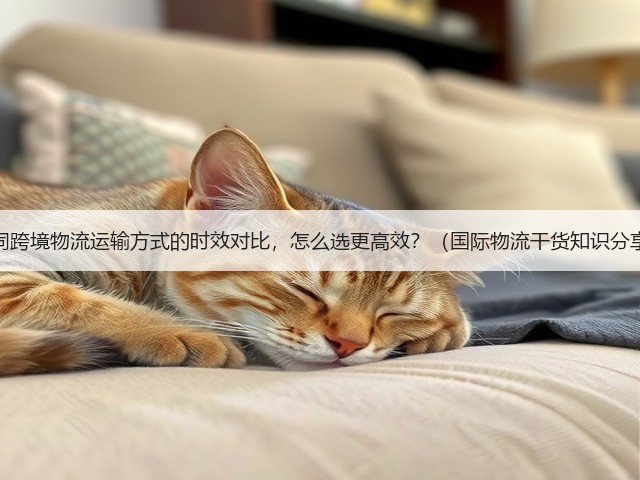 不同跨境物流运输方式的时效对比,怎么选更高效?(国际物流干货知识分享)(图1) 不同跨境物流运输方式的时效对比,怎么选更高效?(国际物流干货知识分享)(图1)