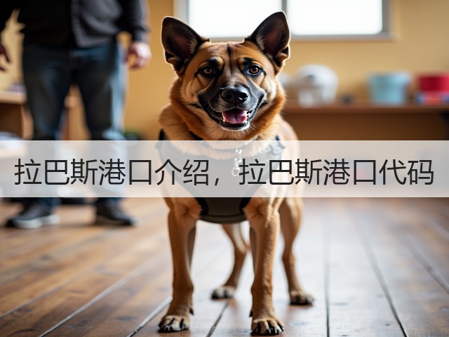 拉巴斯港口介绍,拉巴斯港口代码(图1) 拉巴斯港口介绍,拉巴斯港口代码(图1)